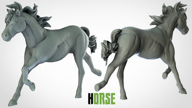 Horses